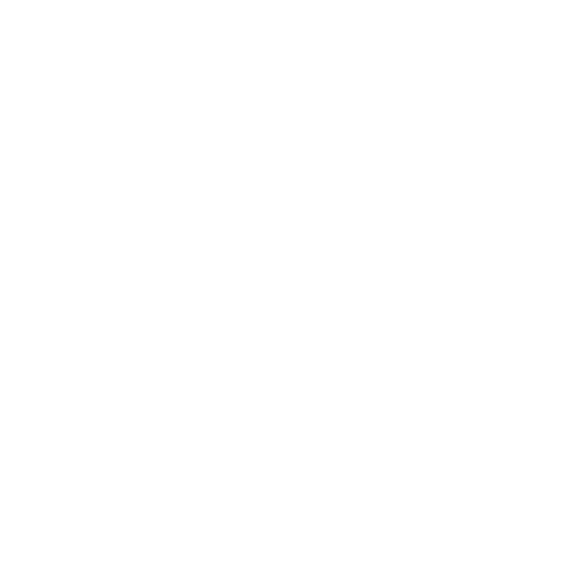 Entropika hero illustration